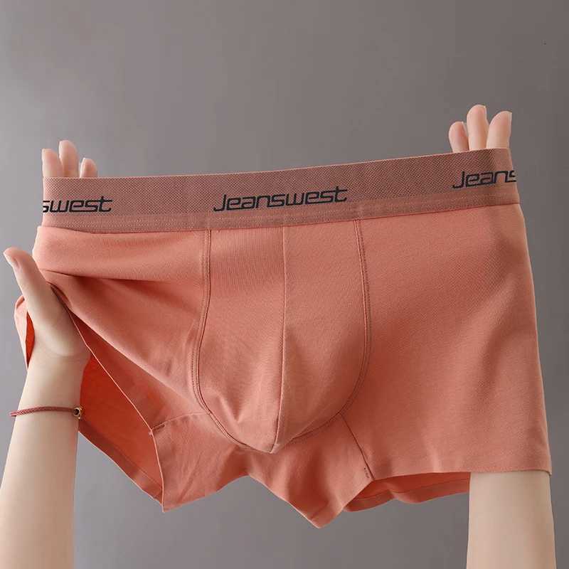 47Pcs Mens Panties Pure Cotton Boxer Briefs Breathable Underwear Men Shorts Underpants Comfortable Boxershorts Sexy L5XLT251031