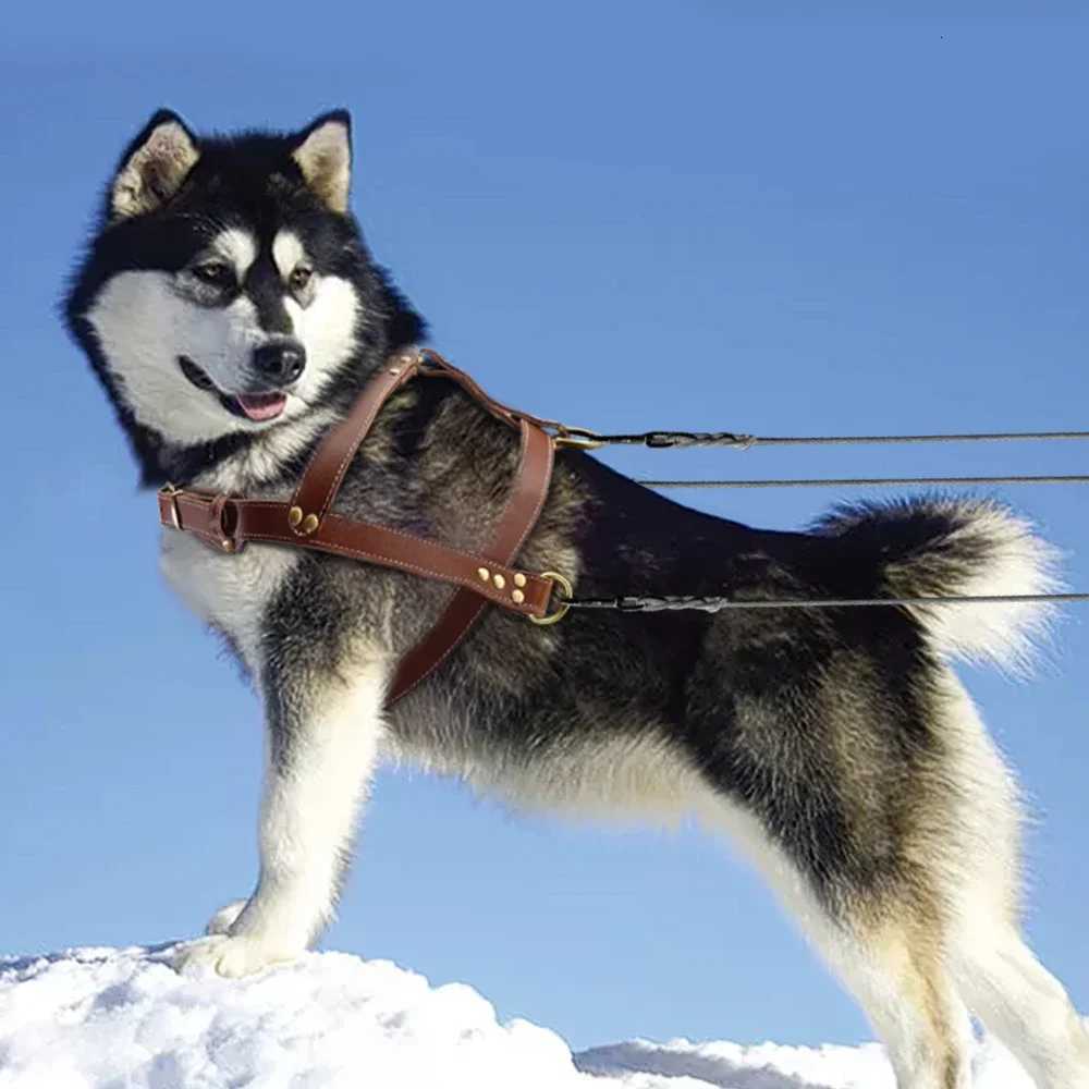 Luxury leather dog harness brown soft leather medium size dog harness adjustable for Alaskan Bulldog walking training C251031