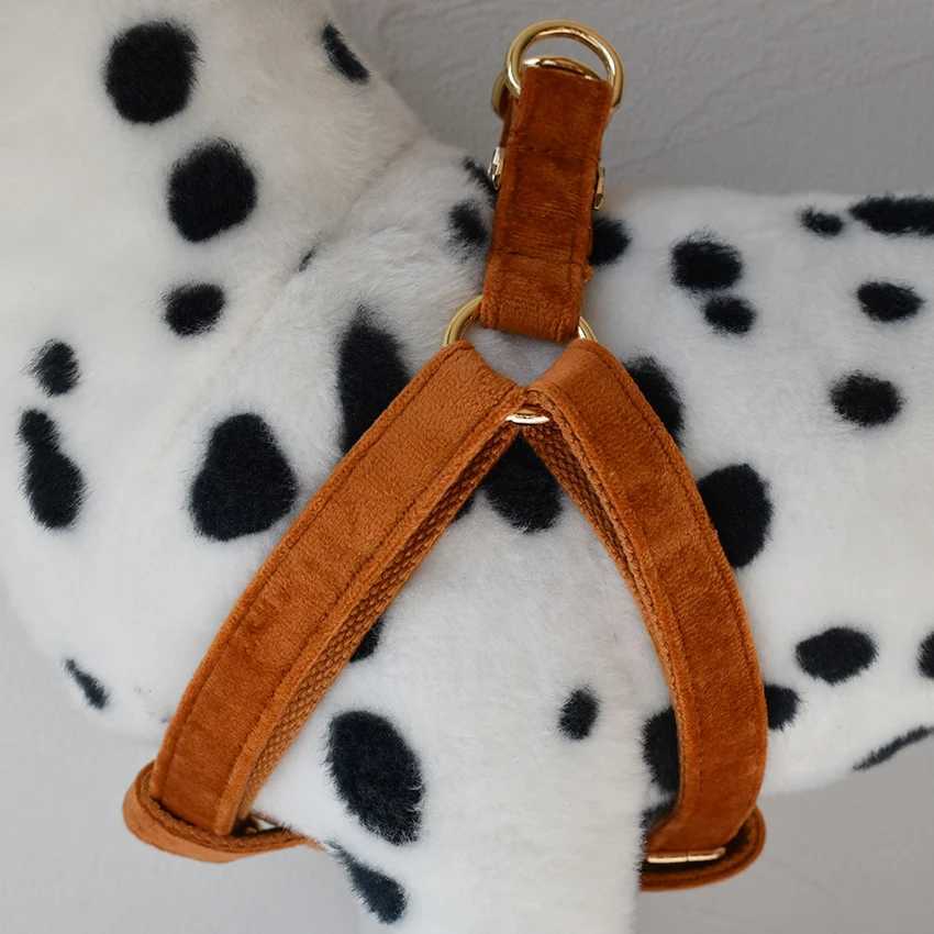 Dog Harness Custom Engraved Straps Printed Pet ID Harness Adjustable Necklace for Small Medium Puppy Teddy Bulldog C251031