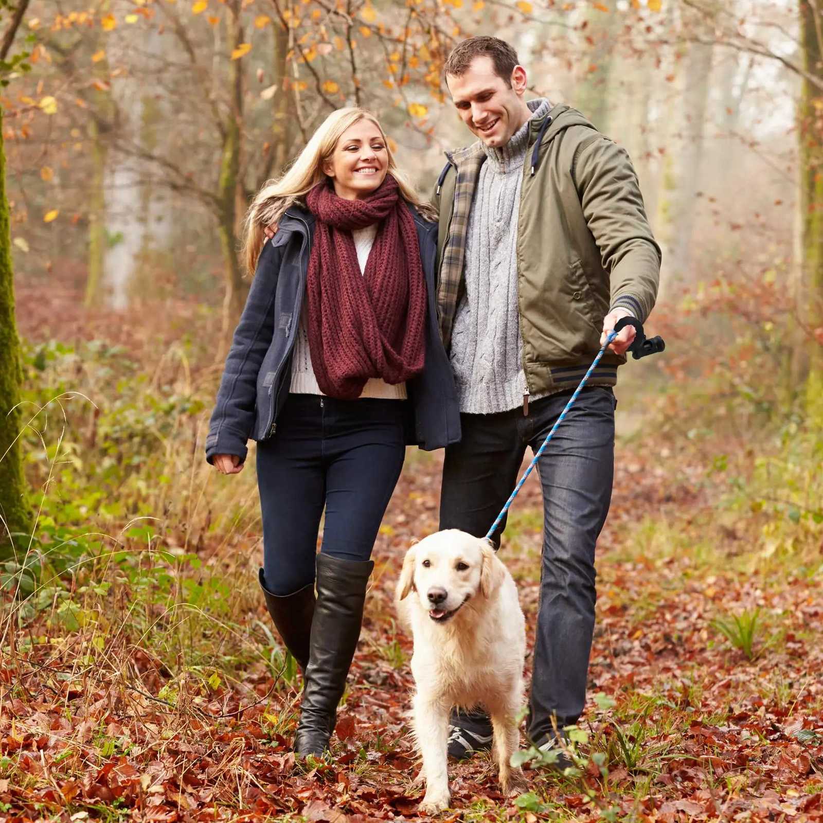 5FT Dog Leash for Medium and Small DogsDog Lead with Comfortable HandlePuppy Leash for Leisurely Outdoor WalksDog Accessories C251031