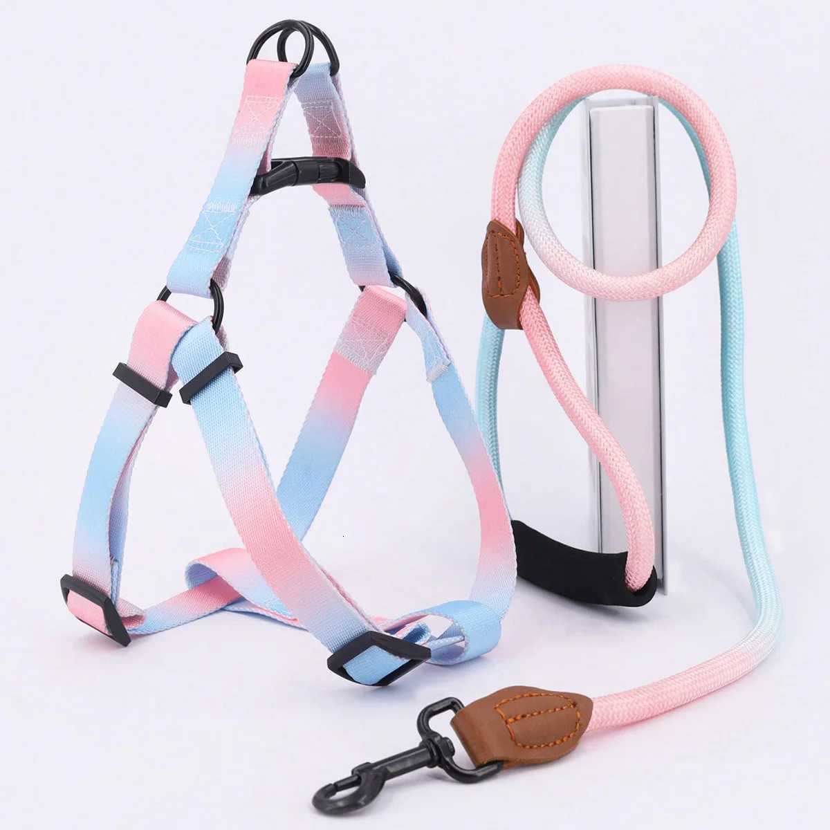 A set of colorful pet harness with leash and dog leash for indoor and outdoor use C251031