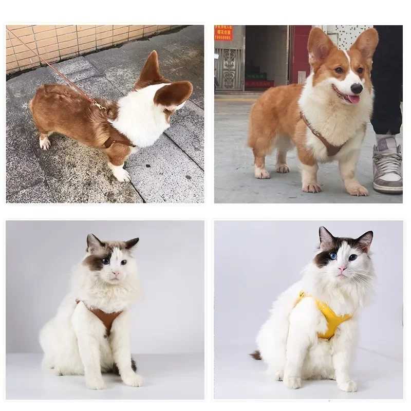 New Luxury Leather Pet Chest Strap Set Dog Leash Walking Cat Rope Medium and Small Dog Pet Supplies Puppy Accessories C251031