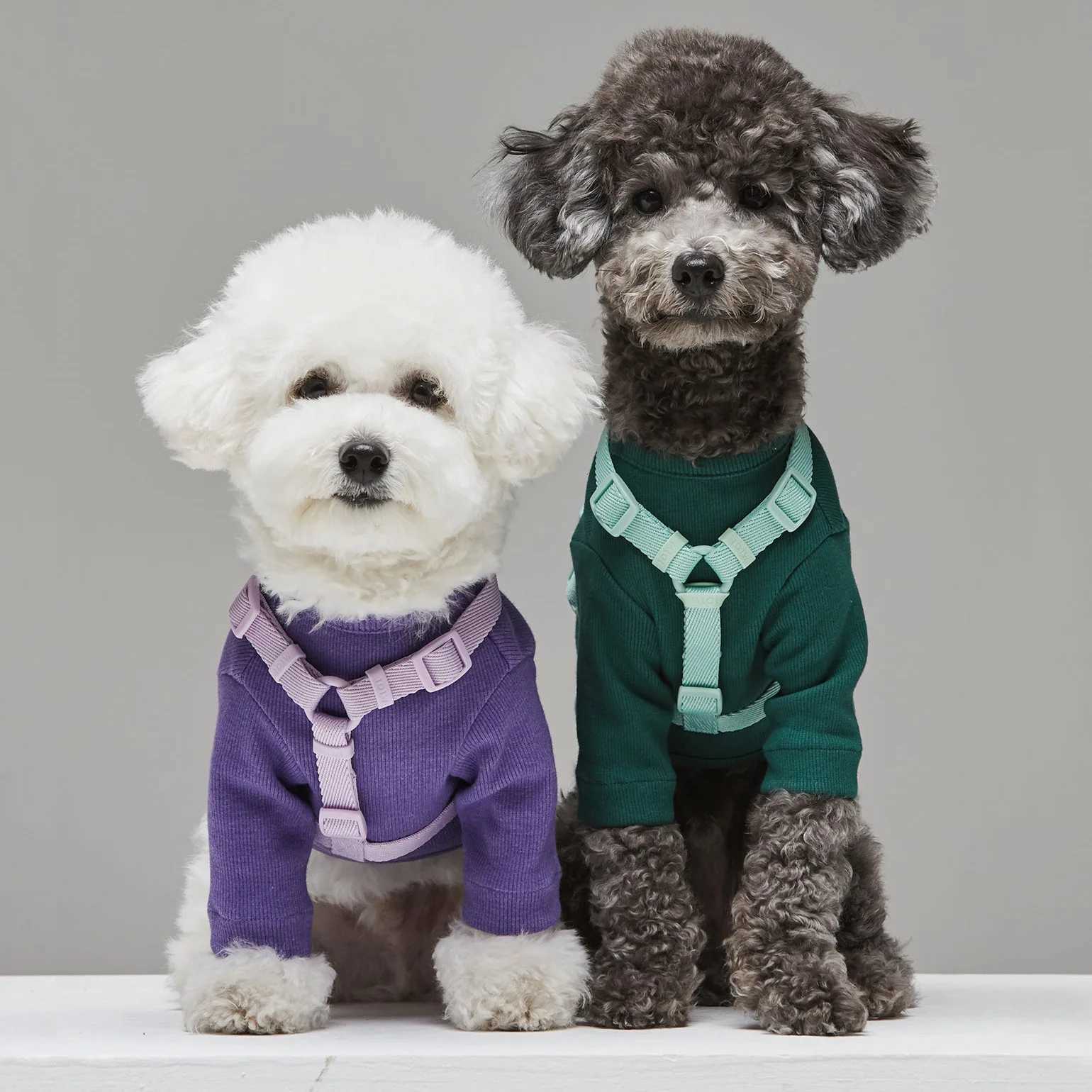 Macaron Series Dual Head Pet Harness Leash Set Adjustable Dog Harness Vest For Small Medium Dogs Leash Fashionable Pet Supplie C251031