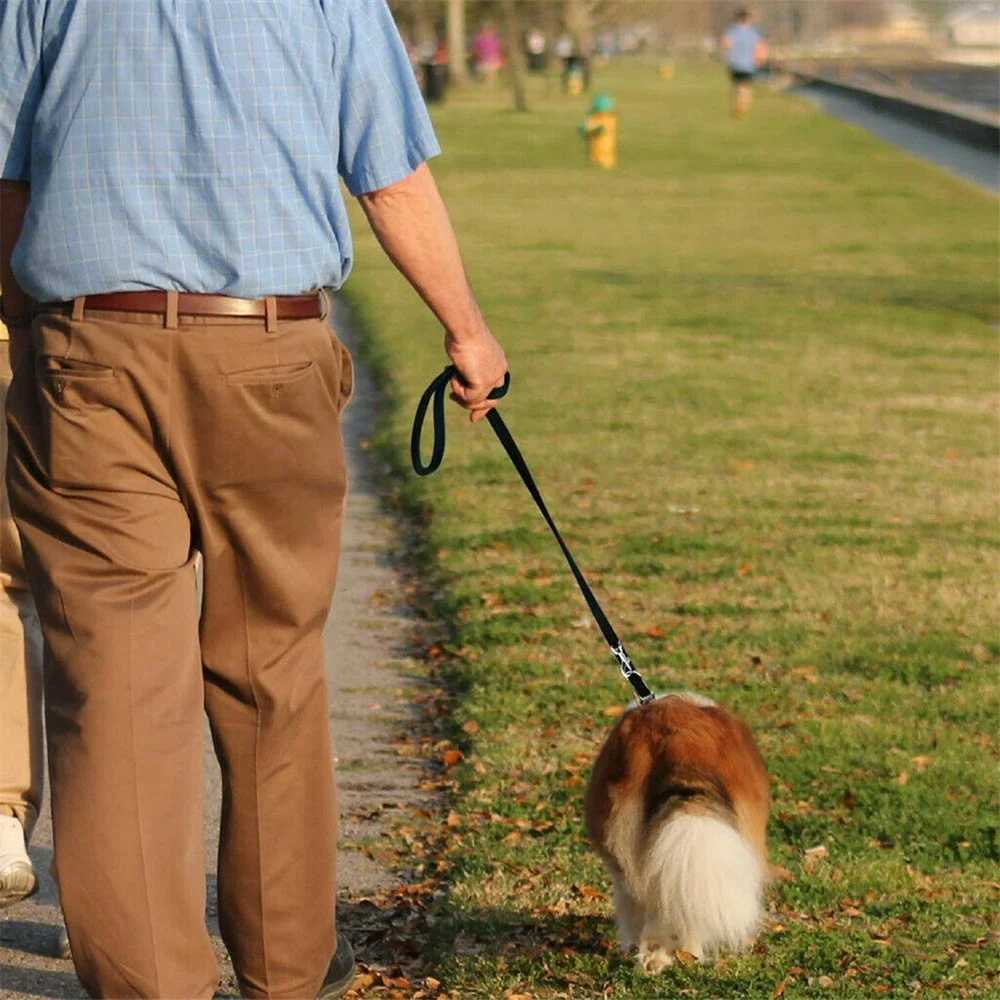 25M Adjustable DualEnd Pet Training Leash Reflective PP Rope for Outdoor Running AllSize Pets C251031