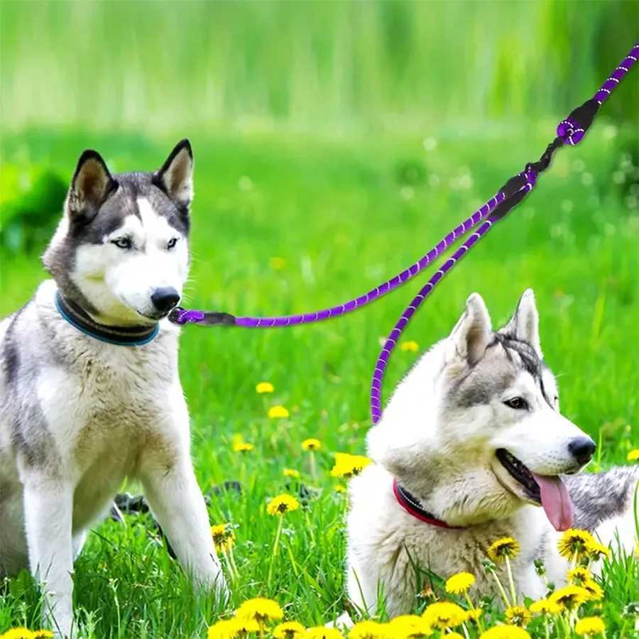 Dual Dog Leash 360 Swivel No Tangle Walking Leash for Small Dogs Double the Fun and Safety on Walks C251031