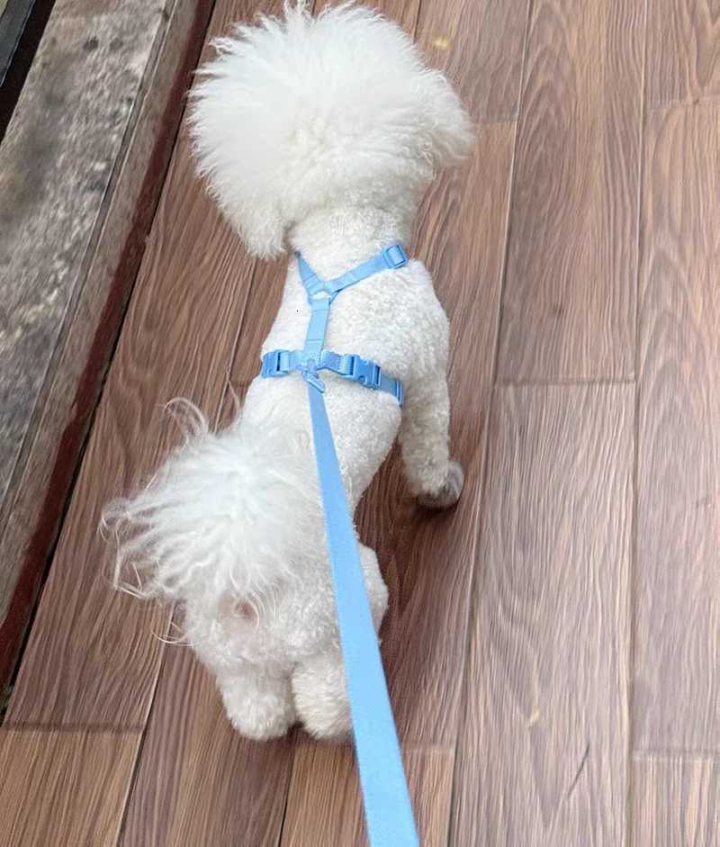 Macaron Series Pet Harness and Leash Set Adjustable Dog Harness Vest For Small Medium Dogs Leash Durable Fashionable Pet Supplie C251031