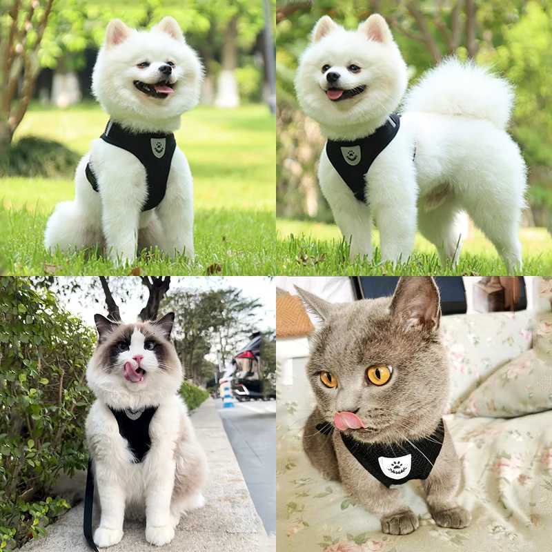 Pet Puppy Harness Leash Set for Small Dogs Cats Reflective Breathable Dog Chest Strap Walking Yorkie Vest Traction Rope Supplies C251031