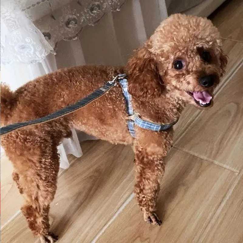 Dog Harness leash Set Grid Plaid Checked Pattern Adjustable NO Pull Dog Harness and Leash for Puppy Cat Small Large Dog Favor C251031