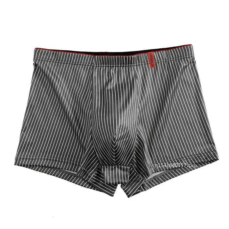 Stripe Boxers Briefs Men Underwear Knickers for Men Panties Underpants Shorts Fashion Lingerie Under Wear Sexy BoxerT251031