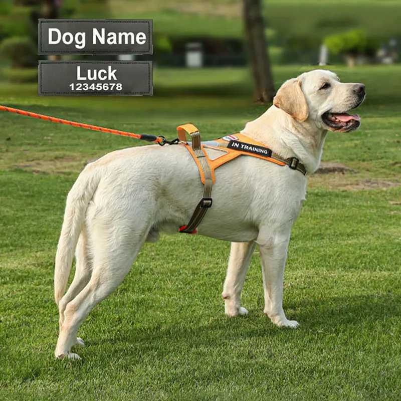 Personzed dog name dog harness no tension reflective breathable Labrador dog harness large dog outdoor walking training C251031