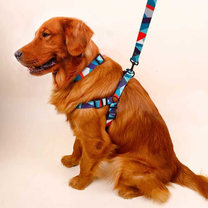 1PC Pet Abstract Chest And harness Set Dog Webbing Leash Dog Walking Leash Dog Collar Threepiece Set C251031