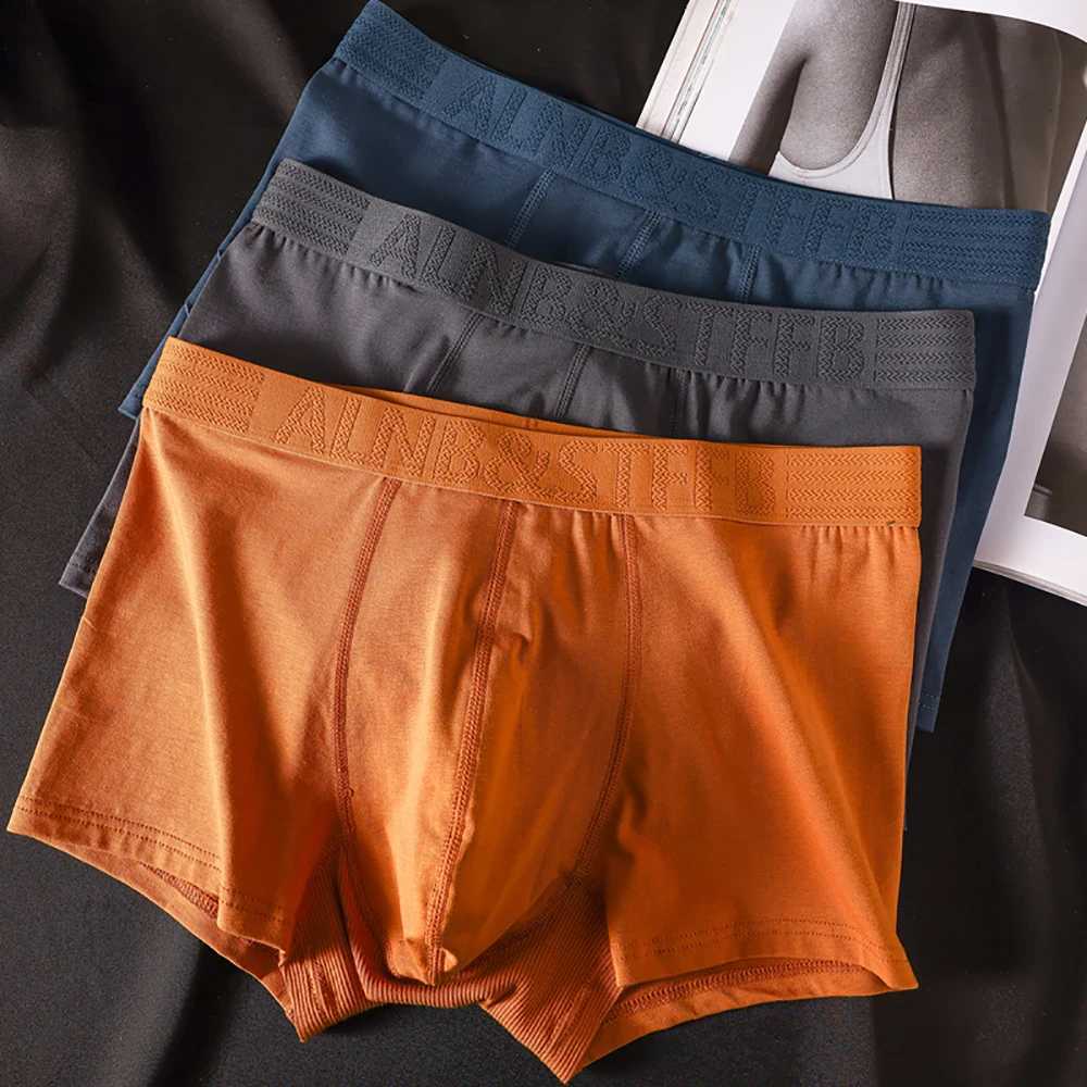 3PCSPack 100 Cotton Antibacterial Boxers Hombre Doublelayer Breathable Hygroscopic U Pouch Underwear Fashion Mens PantiesT251031