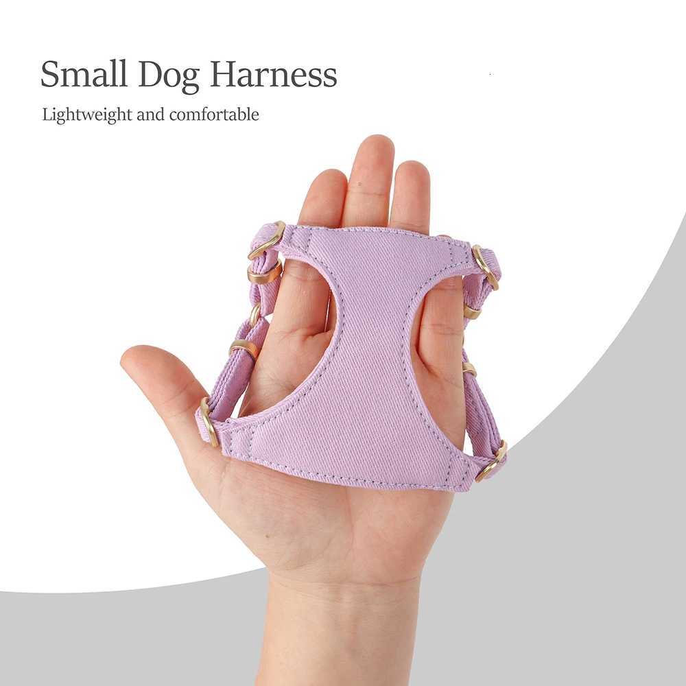 Small Dog Collar Harness Leash Set Cute Dog Collars With Bowknot Adjustable Pet Harnesses Vest for Small Medium Dogs Chihuahua C251031