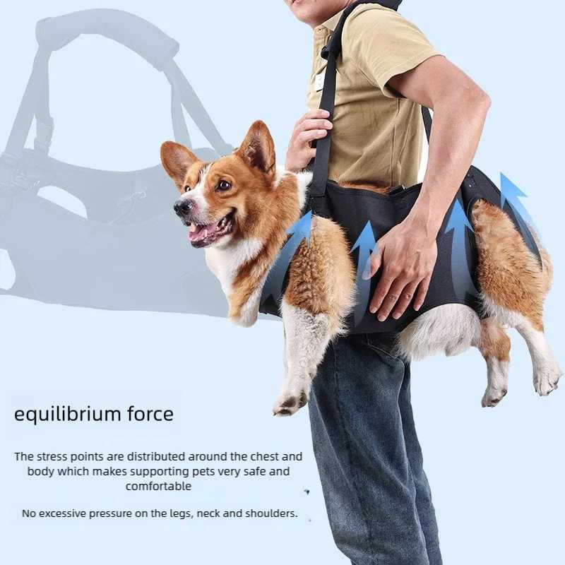 DogAssisted Rehabilitation Exercises for Elderly Disabled Dogs Take You Upstairs and Help with Carrying Pet Backpacks C251031