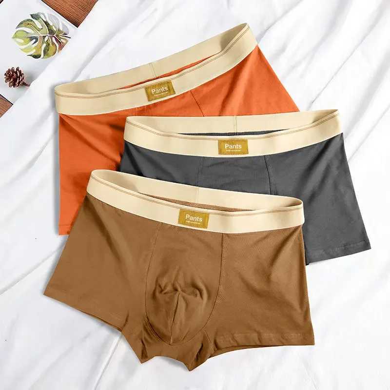 Men Underwear Cotton BoxerShorts Hombre Panties Man Breathable Underpants Sexy Sports Comfort Male Boxers Large Size L7XLT251031