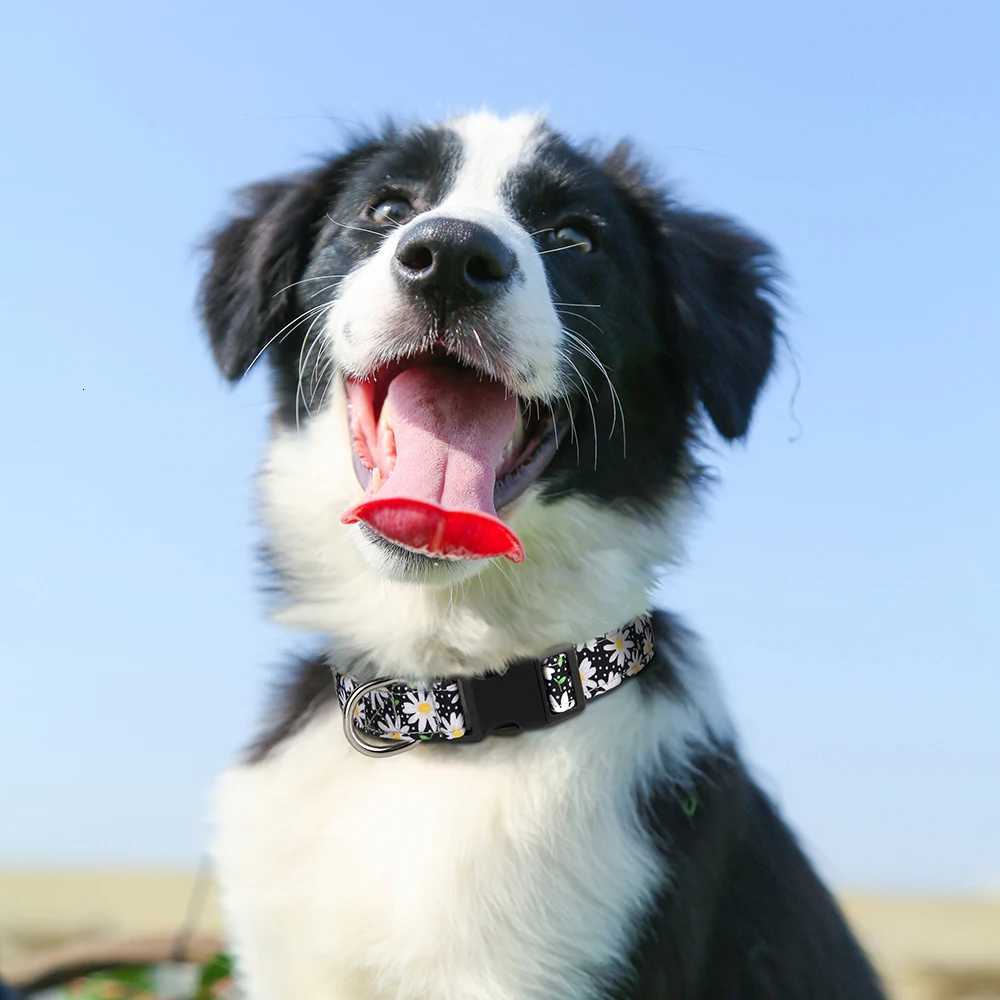 Dog Collar Cute Printed Dog Collars Spring Summer Nylon Pet Puppy Necklace Adjustable For Small Medium Large Dogs Chihuahua Pug C251031