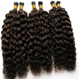 Venta al por mayor de fábrica Kinky Curly Hair Italian queratina Fusion Stick I TIP Extensiones de cabello humano preadheridas 100g Afro Kinky Curly Hair 100s