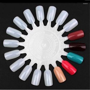 Faux Ongles 5 Ensembles Conseils Nail Art Affichage Bâtons De Pratique Échantillons De Vernis En Forme D'éventail Échantillon De Couleur Outils