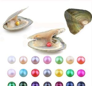 Fantaisie Cadeau Akoya perle Haute qualité pas cher amour coquille d'eau douce perle huître 6-7mm couleurs mélangées huître perlière avec emballage sous vide