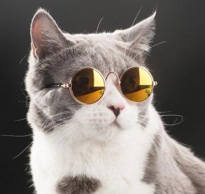 Gafas de sol de moda para mascotas para gatos, perros pequeños, protección de ojos, gafas de sol, fotos de cachorros, accesorios, gafas, envío gratis