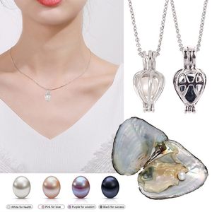 Mode populaire naturel huître souhait perle pendentif collier à breloques boîte-cadeau femmes bijoux cadeau