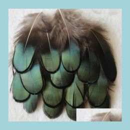 Plumes Diy Craft Vert Cuivre Poulet Verdigris Naturel Pro Nettoyage Bijoux Sac Collier Bandeau 47Cm Drop Delivery Office Schoo Dhsos