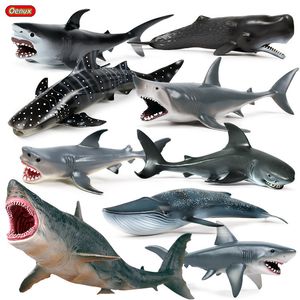 Cinq modèles marins différents simulés Shark Shark géant en gros de mer océan animal apprentissage éducatif jouet pour cadeau enfant