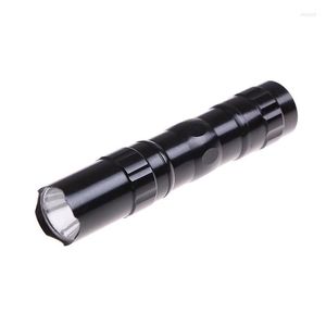 Lampes de poche torches imperméables Mini LED TORCH POCKET LUMIÈRE LÉGEUR PORTABLE BATTERIE POWERF POUR HUNTING CAM CAM WROLESE SPO DHQHF