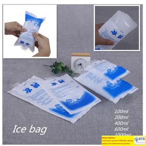 Sac de glace pour conservation des aliments, congélateur réutilisable, sac de glace PE, sacs isothermes en plastique express pour aliments réfrigérés GH1367