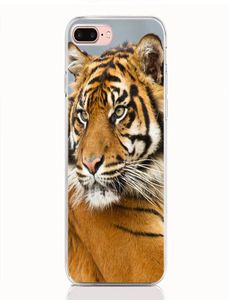Pour LG Stylo 5 4 3 V40 V30 V20 Mini G7 G6 G5 G6 Mini Q6 Q7 Q8 K7 ThinQ étui souple en TPU motif imprimé Animal tigre téléphone de haute qualité 2861887