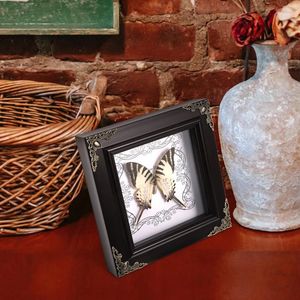 Frames Butterfly Specimen PO Frame Affichage de décoration vintage Picture de décoration mural suspendu insecte de style occidental bricolage