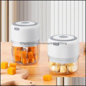 Herramientas de frutas y verduras 100/250 ml Mini picadora eléctrica de ajo Herramienta de cocina Carga USB Trituradora de carne de jengibre Hine Picadoras de chile Prensa DH8FB