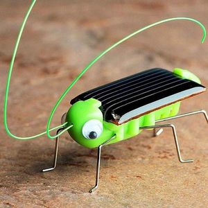 Cadeau d'anniversaire de jouet éducatif de cricket de sauterelle solaire d'insecte drôle
