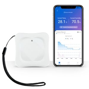 Gauges BTMETER 930A BLUETOOTH WIRESS SMART HYGROMERMERMERMERMER, Capteur d'humidité à température ambiante avec application, enregistrement de données de 365 jours