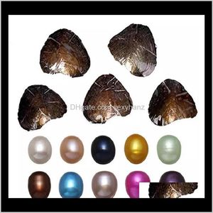 Pierres précieuses huître ronde 6-8Mm 20 couleurs mélangées grand cadeau d'eau douce bricolage perle naturelle perles en vrac décorations emballage sous vide Epacket L2Bh4
