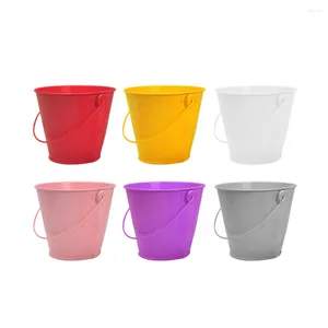 Emballage cadeau Mini seau en métal Seau en étain Bonbons Faveur Seaux Boîtes Boîte Succulente Glace Français Pot Seaux Frites Pots De Mariage Colorés De Fleurs