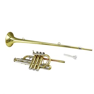 Laque d'or Tone Bb Brass body Cupronickel tuning pipe/piston gold brass lead pipe Herald Trompette