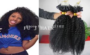 Grade 6A Brésilien non traduit afro pneosique Curly Vierge Human Human Natural Micro Micro Anneaux Hair Kinky 100G7127065