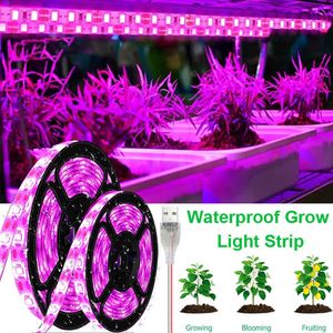 Grow Lights 10M USB LED Stript Lights Spectre Complet DC 5V 1-5m Plante Lumière Grow LED Bande Phyto Lampe pour Légumes Fleur Semis Cultiver Tente P230413