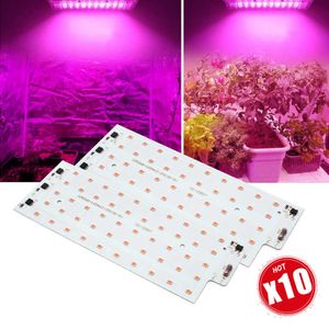 Grow Lights 10Pcs Led Grow Light Phyto Lamp 50W Pas besoin d'entraînement Smart IC Projecteur SMD 2835 220V Long Service Time DIY LED Ampoule Lampe P230413