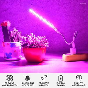 Grow Lights 10W LED Plant Growing Lamp USB Portable Light 5V Full Spectrum Phyto 21 Leds Rotation Flexible Indoor