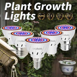 Grow Lights 220V Hydroponic Growth Light E27 Led Grow Bulb Phyto E14 Full Spectrum For Flower Plant MR16 GU10 Hydroponic Growing Lamp B22 P230413