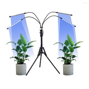 Luces de cultivo 36W 5V Luz LED USB Rojo Azul Planta hidropónica Barra de cultivo Soporte plegable Control remoto Relleno de flores