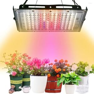 Luces de cultivo 50w Luz LED con enchufe Lámpara de cultivo de plantas de espectro completo para semillas de flores hidropónicas de invernadero