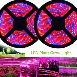 Grow Lights 5m Phyto LED Grow Light 12V Full Spectrum LED Growing Diode Tape Lamp 5050 LED Strip Plant Phytolampy IP65 Flexible Aquarium P230413