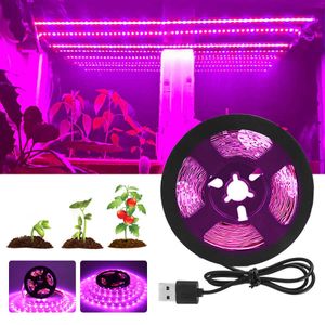 Grow Lights Full Spectrum LED Grow Light USB LED Strip 0.5m 1m 1.5m 2m 3m 2835 SMD LED Phyto Lampe pour la culture de plantes hydroponiques à effet de serre P230413