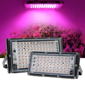Grow Lights LED Grow Light Full Spectrum 50W 100W 220V Phytolamp For Plants Outdoor Indoor Greenhouse Flower Seeds Grow Tent Box LED Lamps YQ230926