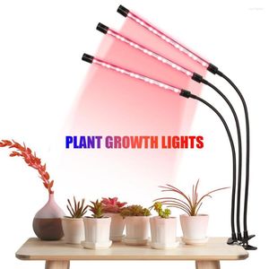 Élèvent des lumières lumière LED spectre complet DC5V 27W pince Flexible USB alimentation bureau croissance des plantes pour lampe à fleurs végétales