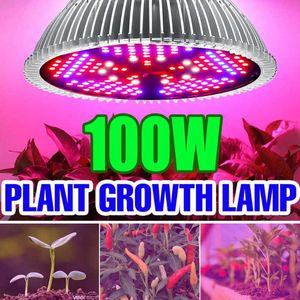 Lampes de culture LED Phyto élèvent la lumière Phytolampe à spectre complet E27 ampoule végétale E14 lampe UV pour les graines de fleurs de serre LED lumière de croissance hydroponique P230413