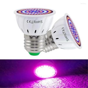 Grow Lights Croissance des plantes LED E27 220V 60leds Spectrum complet Phyto Lampe For Greenhouse Flower Seedling Indoor Lighting